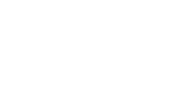ELEMENTAL MIAMI Logo